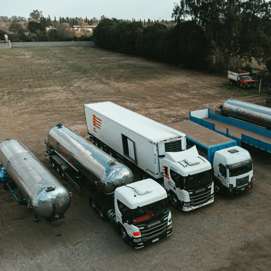 Flota Bonfigli 3
