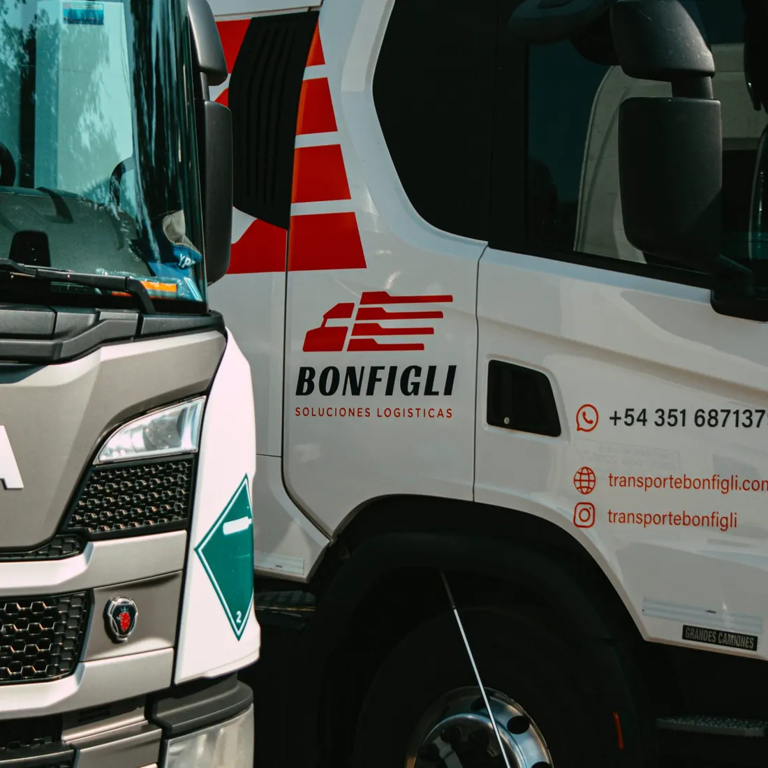 Flota Bonfigli 15